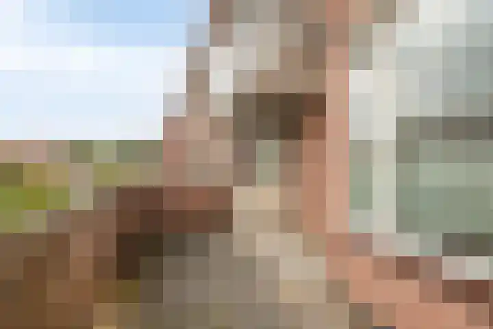 Paukenlaan 45 Dongen thumbnail 22