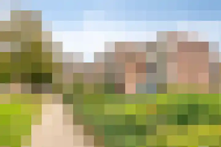 Paukenlaan 45 Dongen thumbnail 4