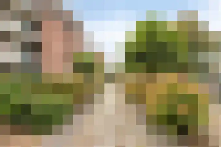 Paukenlaan 45 Dongen thumbnail 6