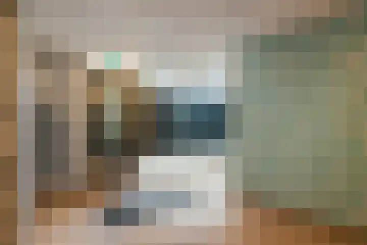 Paukenlaan 45 Dongen thumbnail 7