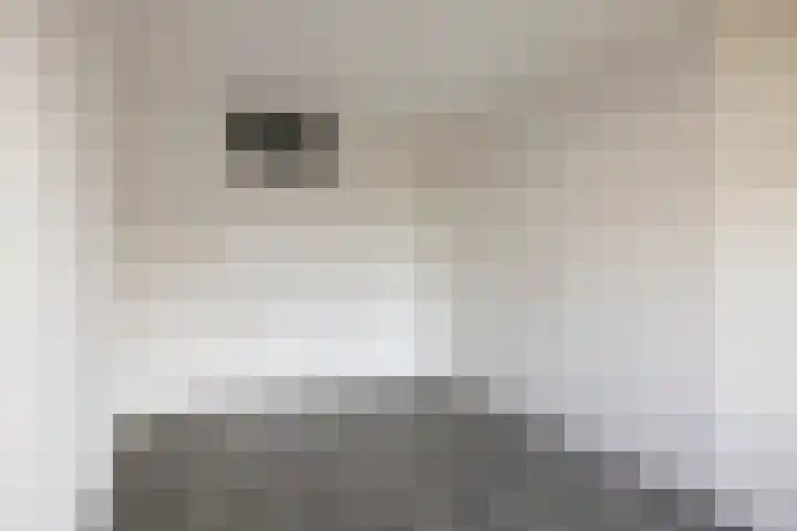 Paukenlaan 53 Dongen thumbnail 16