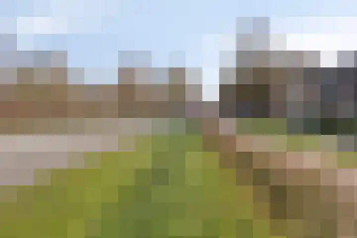 Paukenlaan 53 Dongen thumbnail 23