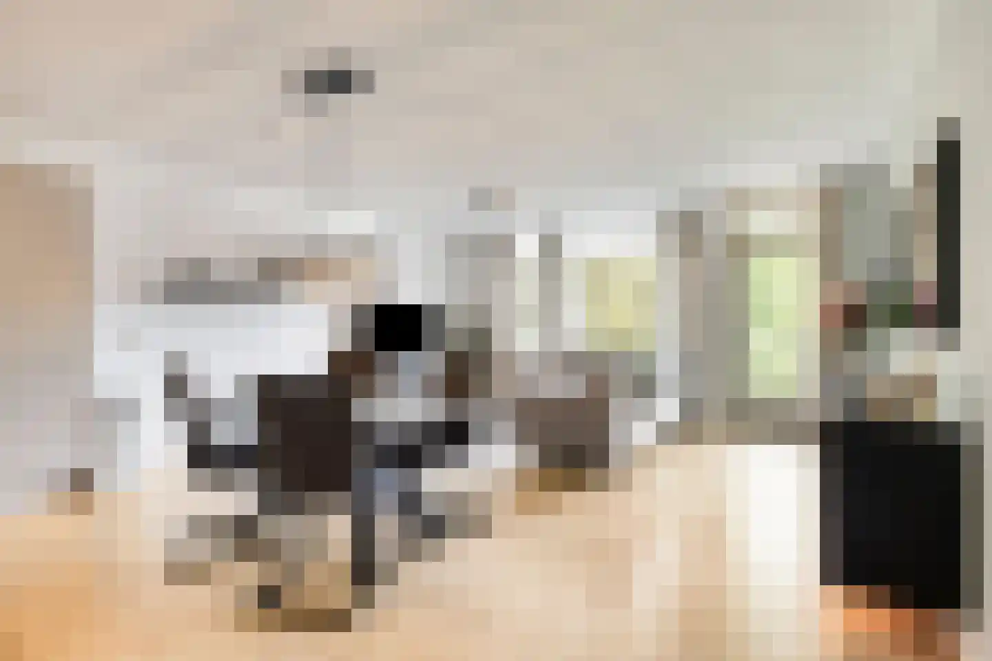 Paukenlaan 61 Dongen thumbnail 16