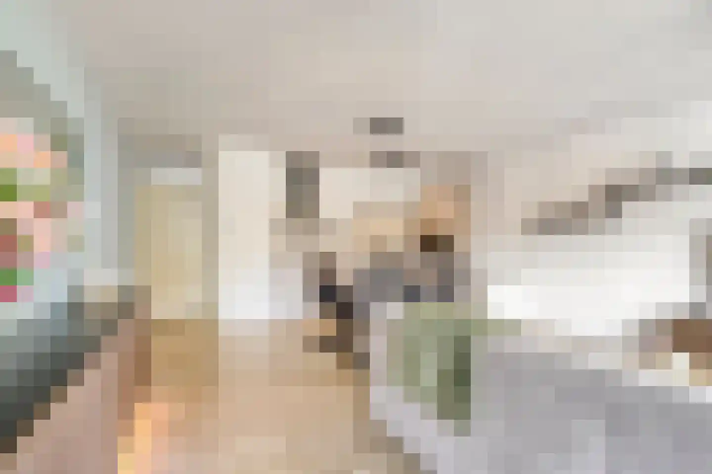 Paukenlaan 61 Dongen thumbnail 18
