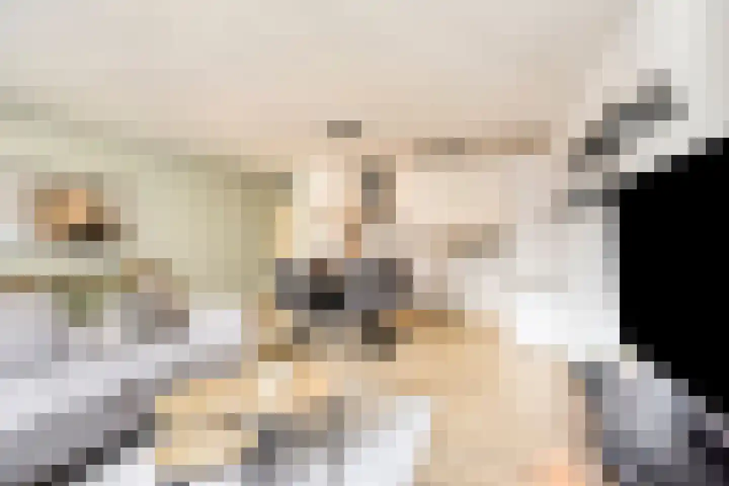 Paukenlaan 61 Dongen thumbnail 19