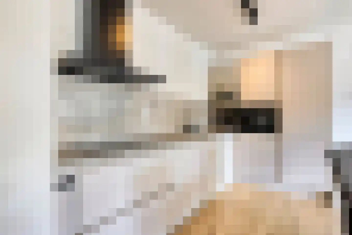 Paukenlaan 61 Dongen thumbnail 22