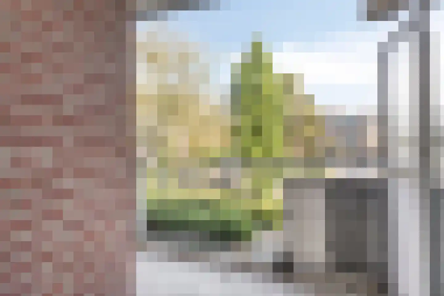 Paukenlaan 61 Dongen thumbnail 24