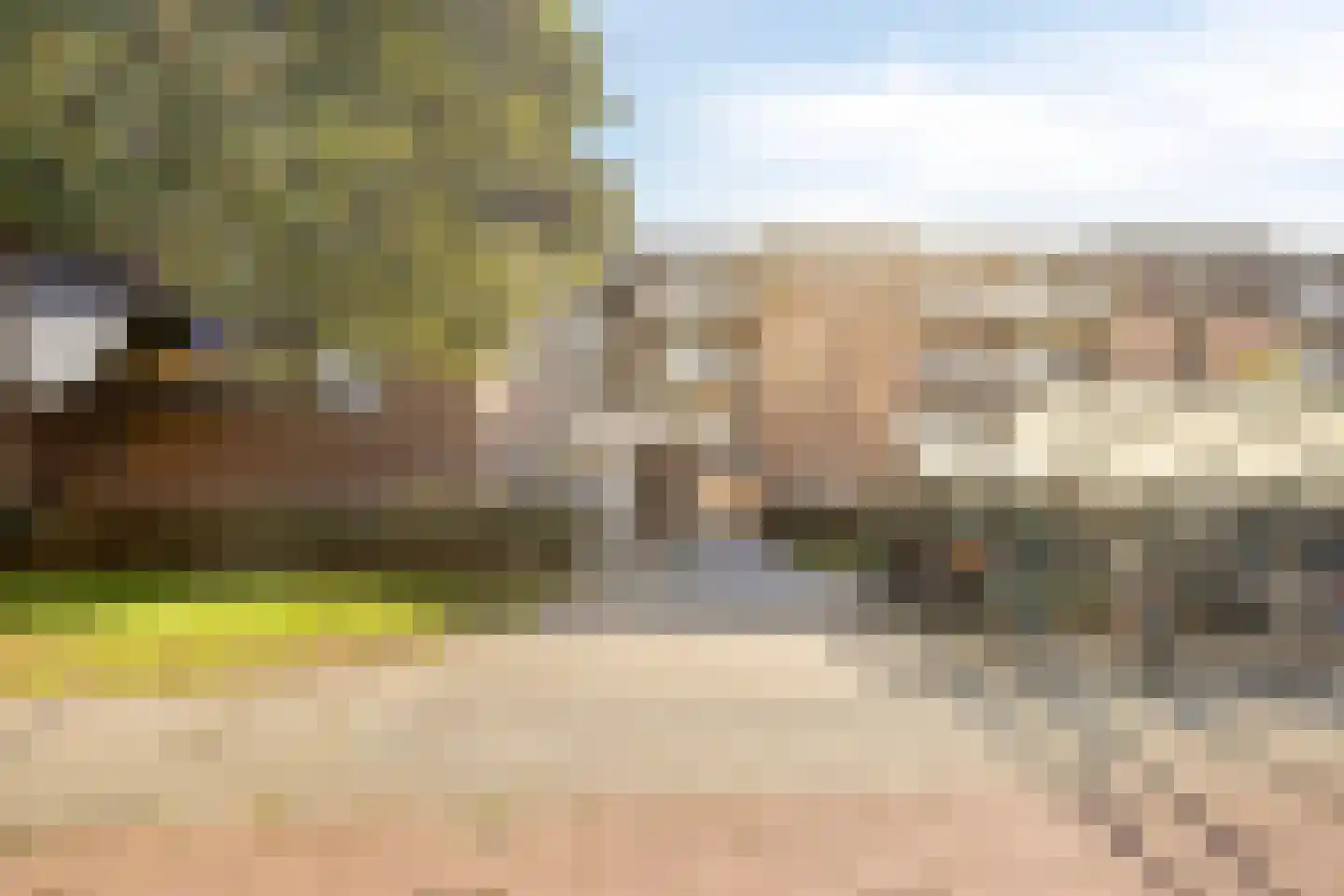 Paukenlaan 61 Dongen thumbnail 30