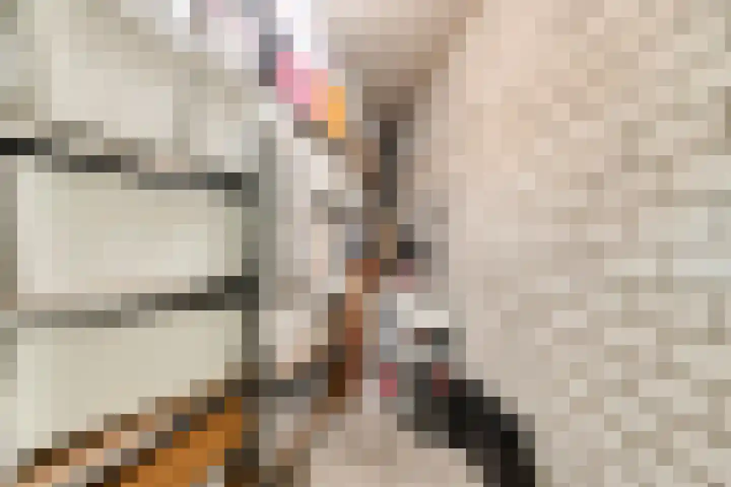 Paukenlaan 61 Dongen thumbnail 35