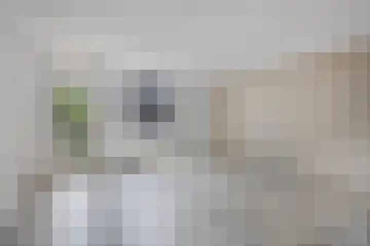 Paukenlaan 75 Dongen thumbnail 12
