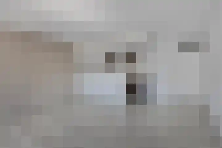 Paukenlaan 75 Dongen thumbnail 13