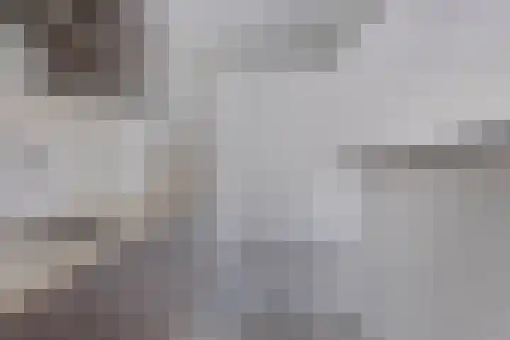 Paukenlaan 75 Dongen thumbnail 15
