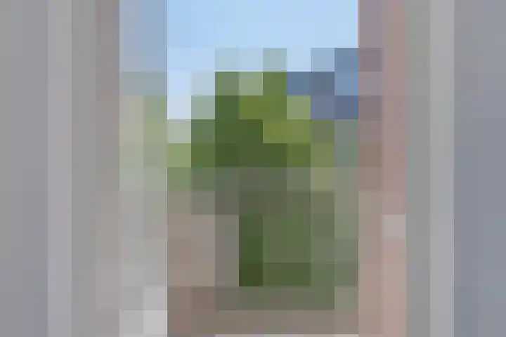 Paukenlaan 75 Dongen thumbnail 22