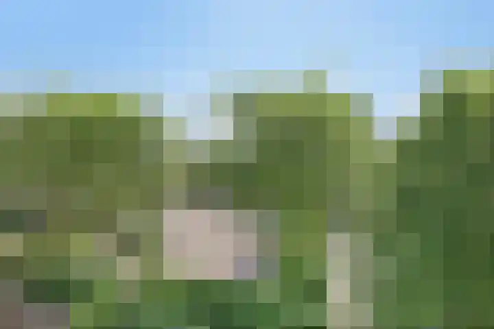 Paukenlaan 75 Dongen thumbnail 24