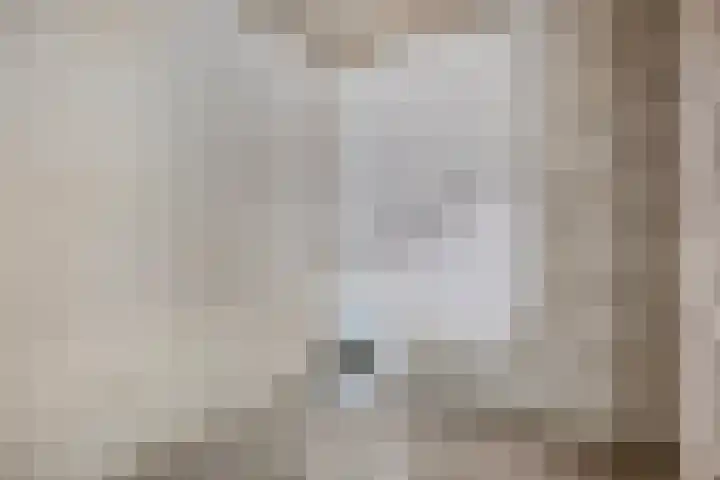 Paukenlaan 75 Dongen thumbnail 25
