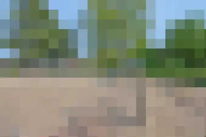 Paukenlaan 75 Dongen thumbnail 28