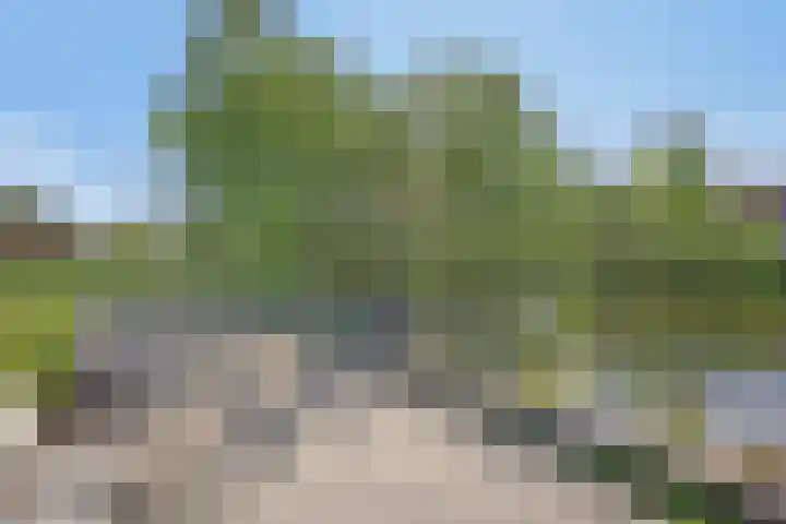 Paukenlaan 75 Dongen thumbnail 30
