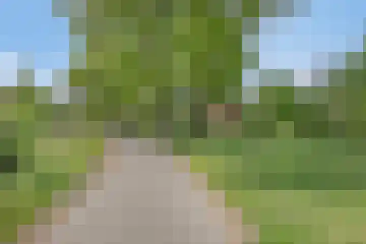 Paukenlaan 75 Dongen thumbnail 31