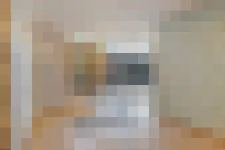 Paukenlaan 75 Dongen thumbnail 6