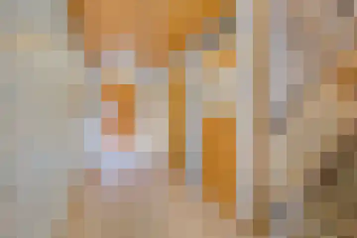 Paukenlaan 75 Dongen thumbnail 7