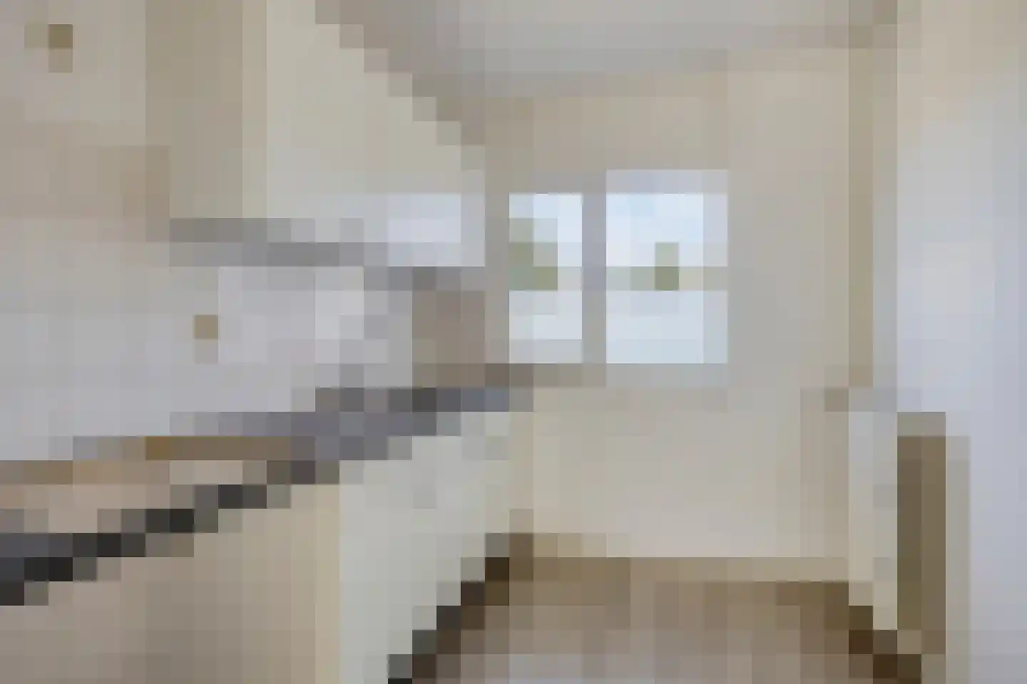 Paukenlaan 89 Dongen thumbnail 16