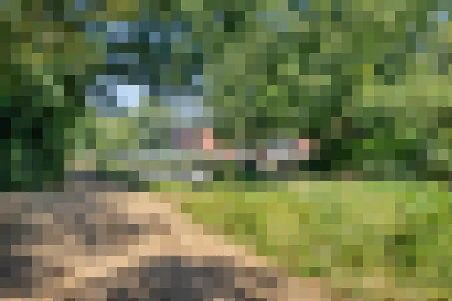 Paukenlaan 89 Dongen thumbnail 27