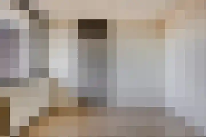 Paukenlaan 99 Dongen thumbnail 12