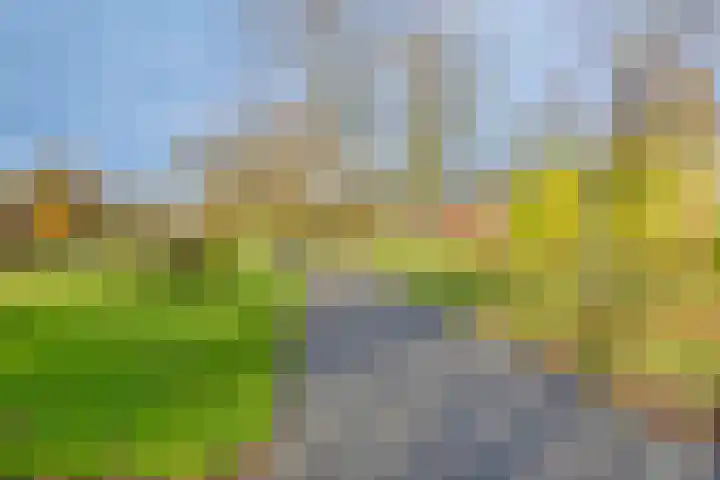 Paukenlaan 99 Dongen thumbnail 21
