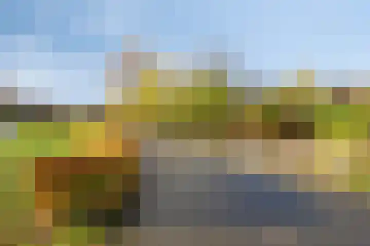 Paukenlaan 99 Dongen thumbnail 22
