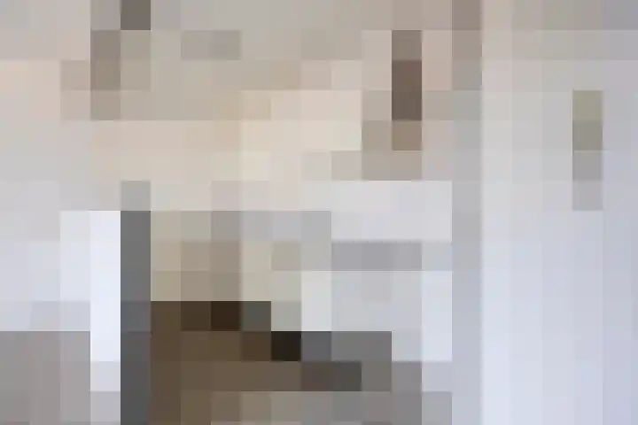Paukenlaan 99 Dongen thumbnail 9