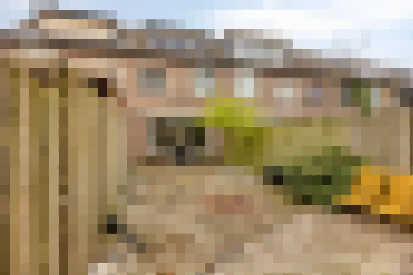 Paukenpad 15 Amersfoort thumbnail 24