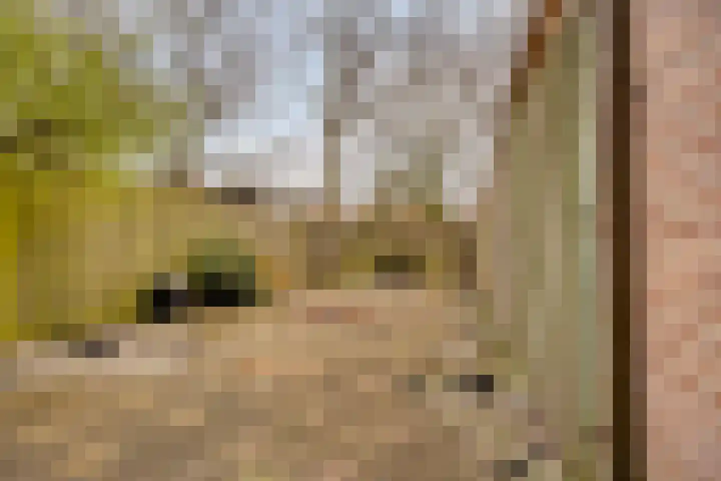 Paukenpad 15 Amersfoort thumbnail 26