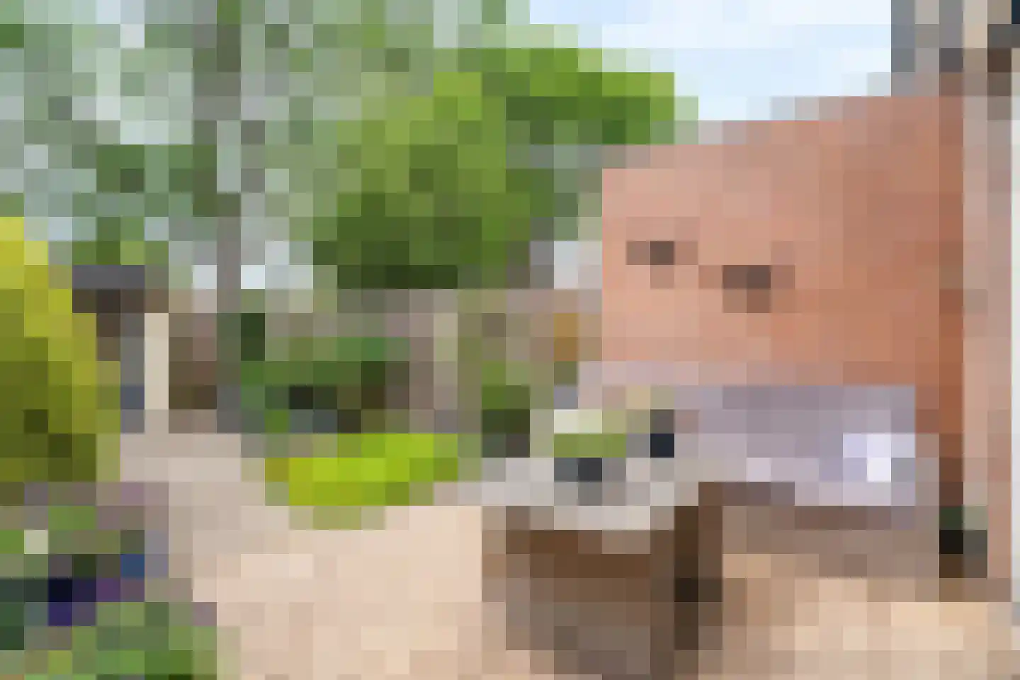Paukenpad 3 Amersfoort thumbnail 23