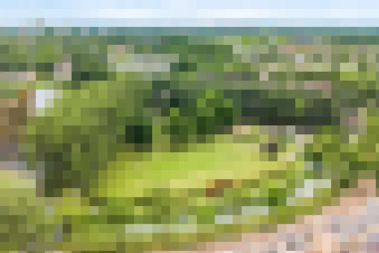 Paukenpad 3 Amersfoort thumbnail 31