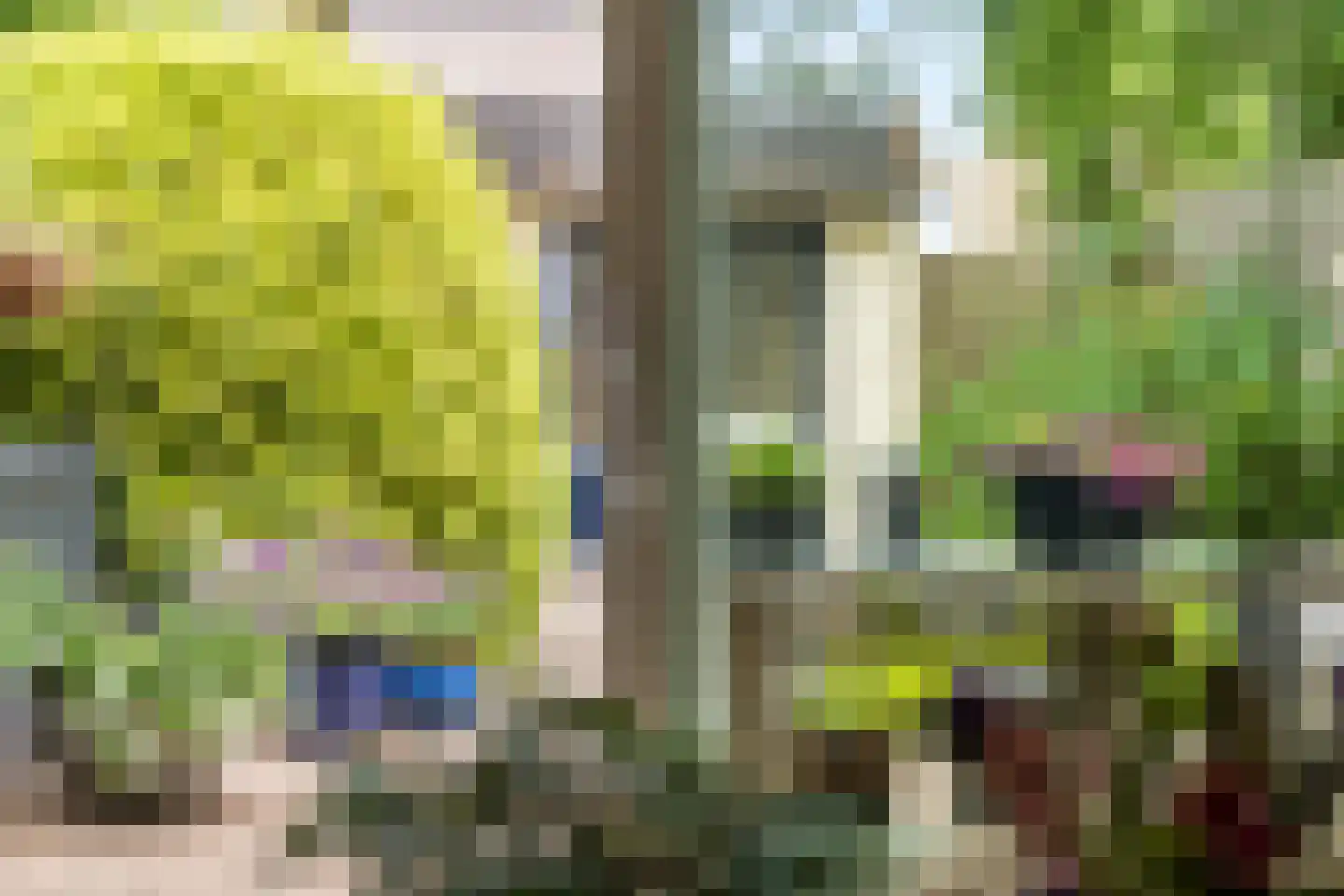 Paukenpad 3 Amersfoort thumbnail 34