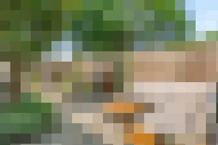Paukenpad 5 Amersfoort thumbnail 14