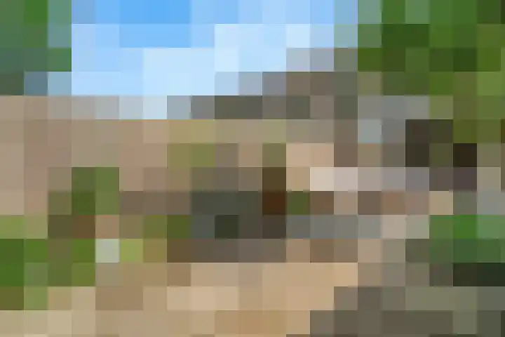 Paukenpad 5 Amersfoort thumbnail 15