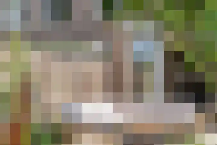 Paukenpad 5 Amersfoort thumbnail 16