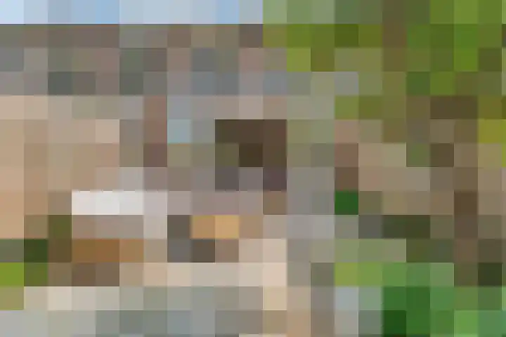 Paukenpad 5 Amersfoort thumbnail 17