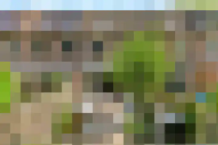 Paukenpad 5 Amersfoort thumbnail 18