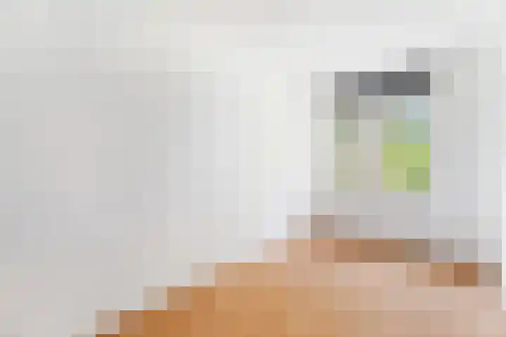 Paukenpad 5 Amersfoort thumbnail 25
