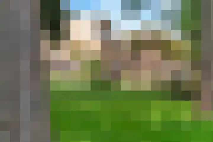 Paukenpad 5 Amersfoort thumbnail 33