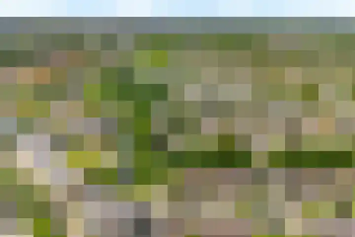 Paukenpad 5 Amersfoort thumbnail 34
