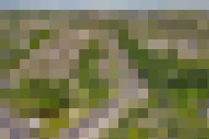 Paukenpad 5 Amersfoort thumbnail 35