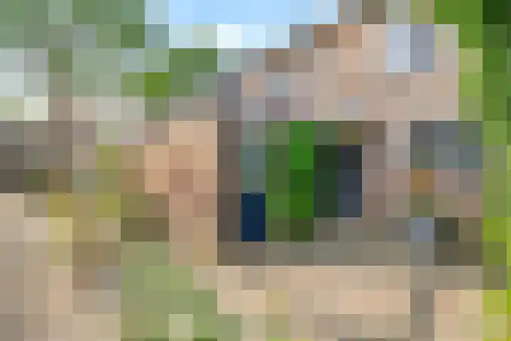 Paukenpad 5 Amersfoort thumbnail 39