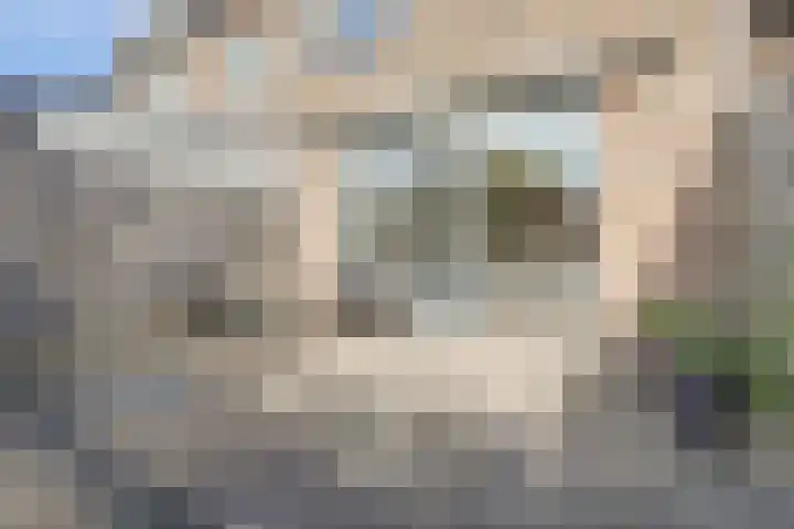 Paukenpad 95 Amersfoort thumbnail 31