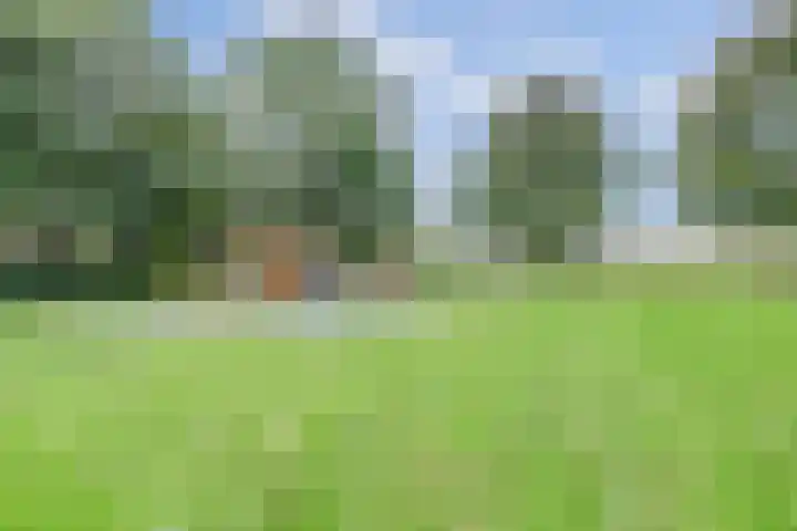 Paukenpad 95 Amersfoort thumbnail 35