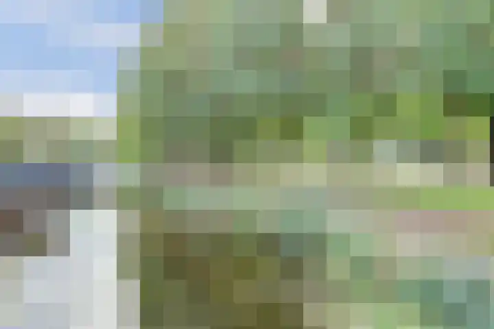 Paukenpad 95 Amersfoort thumbnail 37