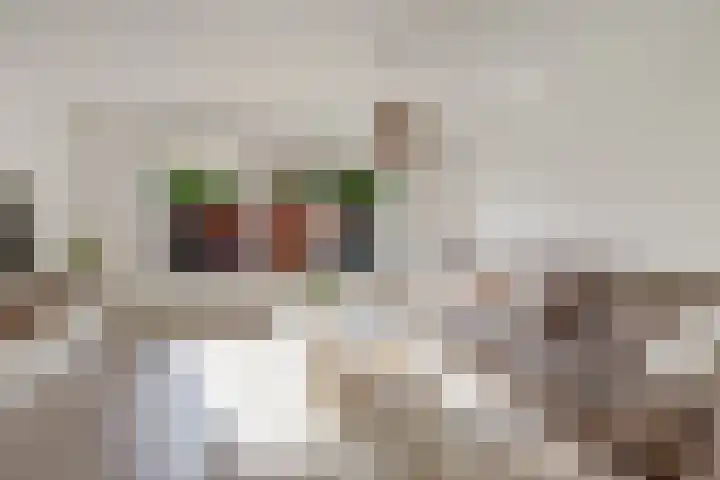 Paukenpad 95 Amersfoort thumbnail 4