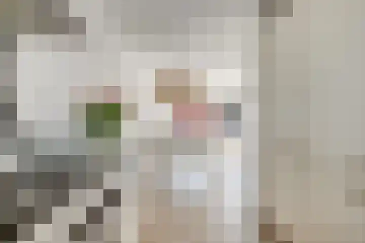 Paukenpad 95 Amersfoort thumbnail 8